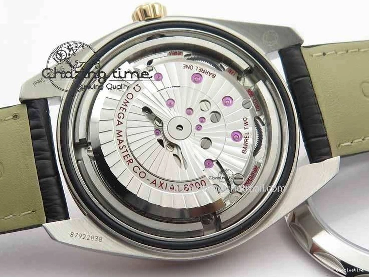 0202 2017 Aqua Terra SS RG XF Best Edition White Textured Dial On Black Leather Strap A Functional 8157